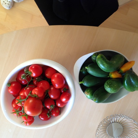 Første høst fra 2024